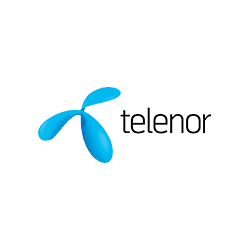 Telenor CG